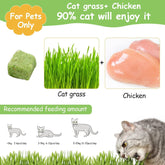 HavenJanny Bastones de hierba para gatos secos, snack natural para peluditos curiosos