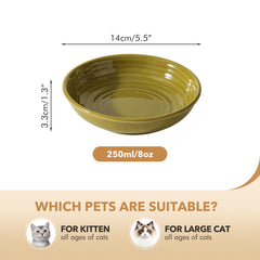 Havniva cat bowls with anti-slip base stay steady during feeding sessions.