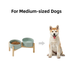 Havniva elevated feeding setup for daily dog meals