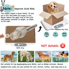 HBYCDSTF Digital Pet Scale LCD display visible in low light