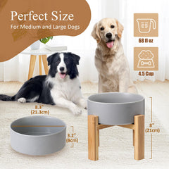 HCHLQLZ ceramic bowl closeup smooth glaze enhances clean, easy-to-situate feeding.