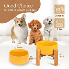 HCHLQLZ porcelain elevated feeder on stand showcases modern pet dining design.