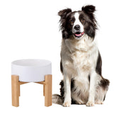 HCHLQLZ raised ceramic dog bowl on bamboo stand improves feeding height