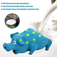 HCHYE Grunting pig close-up demonstrates realistic oink sound during interactive games.