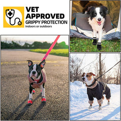 Hcpet trail-ready dog boots protecting paws on hikes