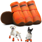 Hcpet Size 6 dog shoes on a paw offering secure daily-walk fit.