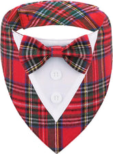 HDGDT Christmas dog tuxedo bandana front view, ideal for festive photo sessions.