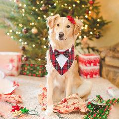HDGDT Christmas dog tuxedo bowtie detail, enhances holiday charm for parties.