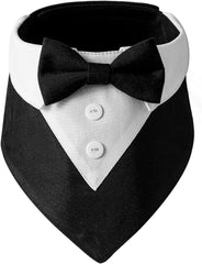 HDGDT dog tuxedo collar with bow tie ideal for weddings and formal events.