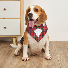 HDGDT size chart xs-xl, ensures a comfortable fit for many breeds.