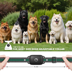 Three-collar pack from Heaflex enables simultaneous training across multiple dogs.