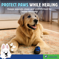 Healers anti-slip dog boots on paw illustrate snug fit and traction on slippery floors