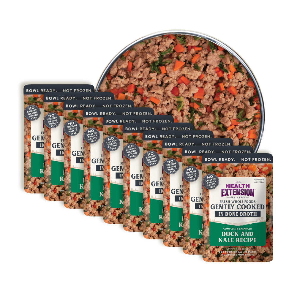 Health Extension Gently Cooked Duck & Kale dog food in bowl—picky-eater friendly, ready to serve.