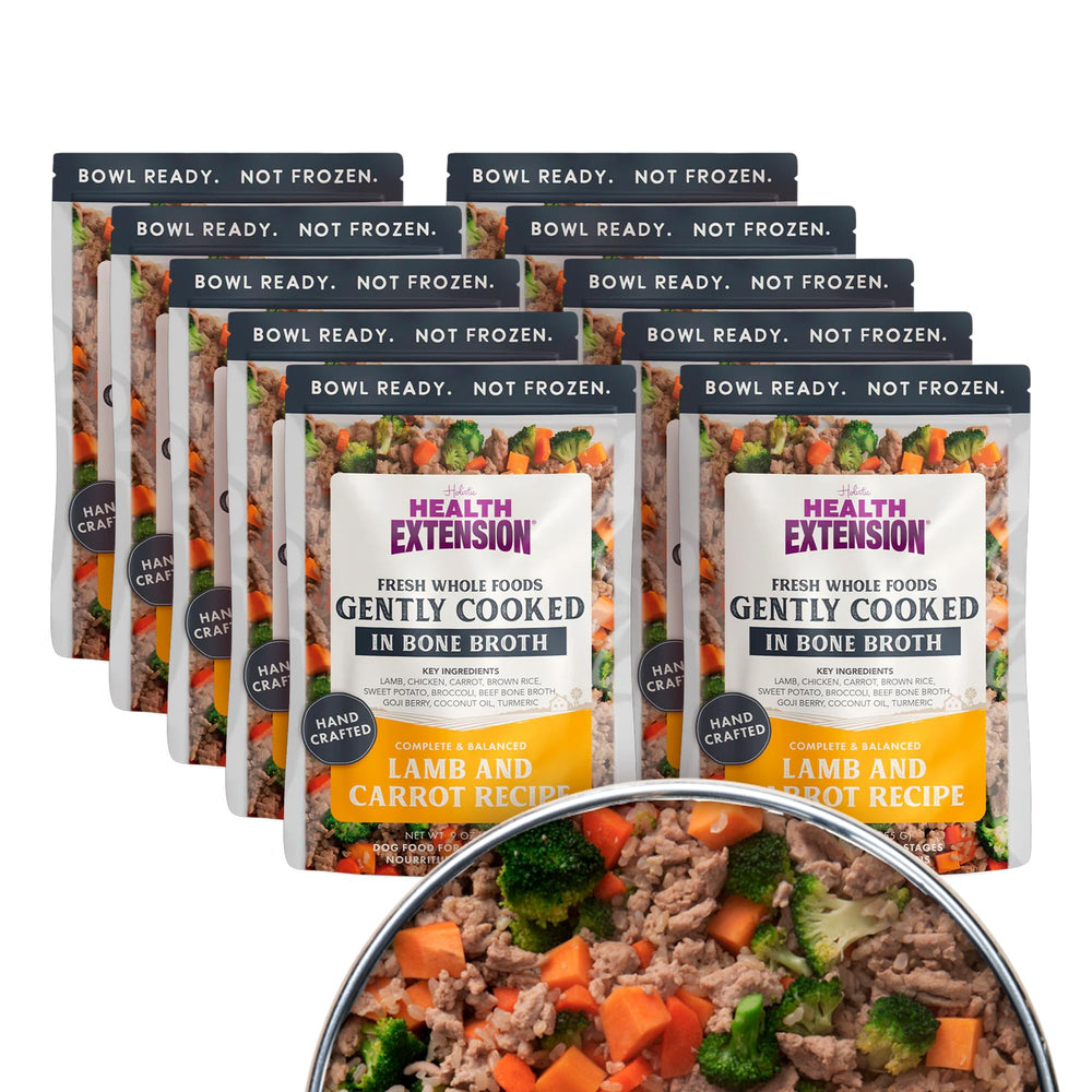 Health Extension Gently Cooked Lamb & Carrot dog food pouch ready-to-serve meals.