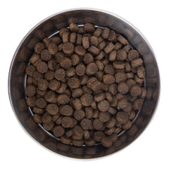 Health Extension probiotics-superfoods: gut balance and natural antioxidant support for dogs.