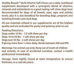 Healthy Breeds multivitamin soft chews dog closeup emphasizes tasty texture and easy administration.
