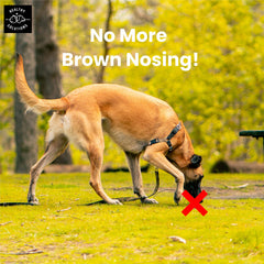 Healthy Solutions For Pets breath-freshening chews improve pet breath
