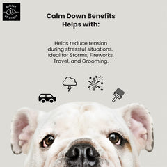Healthy Solutions For Pets Calming Chews label emphasizes melatonin and ginger for gentle rest.