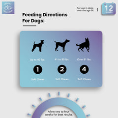 Healthy Solutions For Pets enzymes and probiotics support digestion