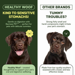 Healthy Woof green tea enzyme blend emphasizes enzyme-rich dental care.