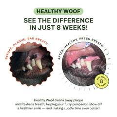 Healthy Woof Icelandic kelp ingredients highlight a natural oral-support blend.