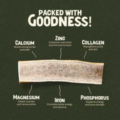 Heartland Antlers odorless, mess-free chew is great for indoor play.