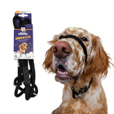 Heather's Heroes Sidekick headcollar and leash easing pulling during walks.