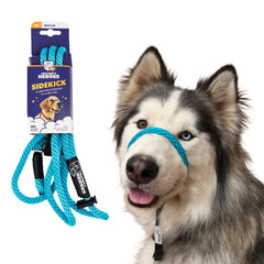 Heather's Heroes Sidekick headcollar in use for calmer walks and better control