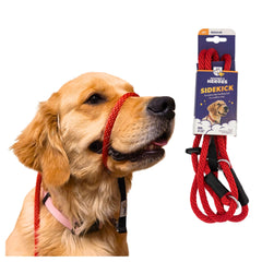 Heather's Heroes Sidekick headcollar red front view enables gentle control during walks.