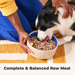 Heckova! Chonky Chicken treats in hand for high-value training.