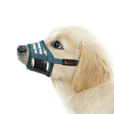 BOZAL HEELE para perro, ajuste nasal seguro y cómodo.