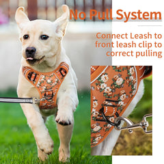 HEELE dog harness back handle soft padding shows easy control and assist