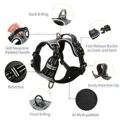 HEELE Dog Harness chest-pull-stop-ring demonstrates curb pulling safely