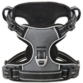 HEELE Dog Harness front view illustrates no-pull design for calmer walks