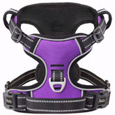 HEELE dog harness front view showing no-pull design for calmer walks.