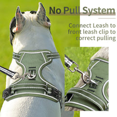 HEELE dog harness features padded chest and belly for comfortable outdoor wear