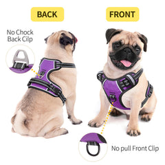 HEELE dog harness with padded belly and breathable lining for comfort