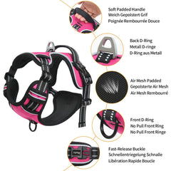 HEELE dog harness rose XL front view showing no-pull design and chest ring for control