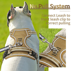 HEELE dog harness soft padding for comfort on outdoor outings
