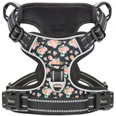 HEELE Flower-Black dog harness on dog for a secure, comfortable daily walk.