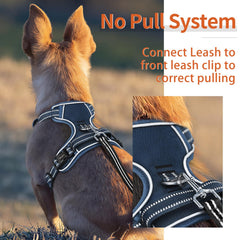 HEELE reflective-strips improve visibility during dusk walks and car rides.