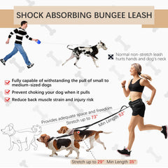 Heellpxi dual-handle bungee leash provides secure control during jogs.
