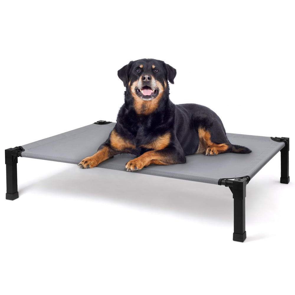 Heeyoo cooling elevated dog bed assembled for easy setup and comfort