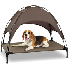 Heeyoo elevated dog bed with canopy demonstrates tool-free assembly for quick setup.