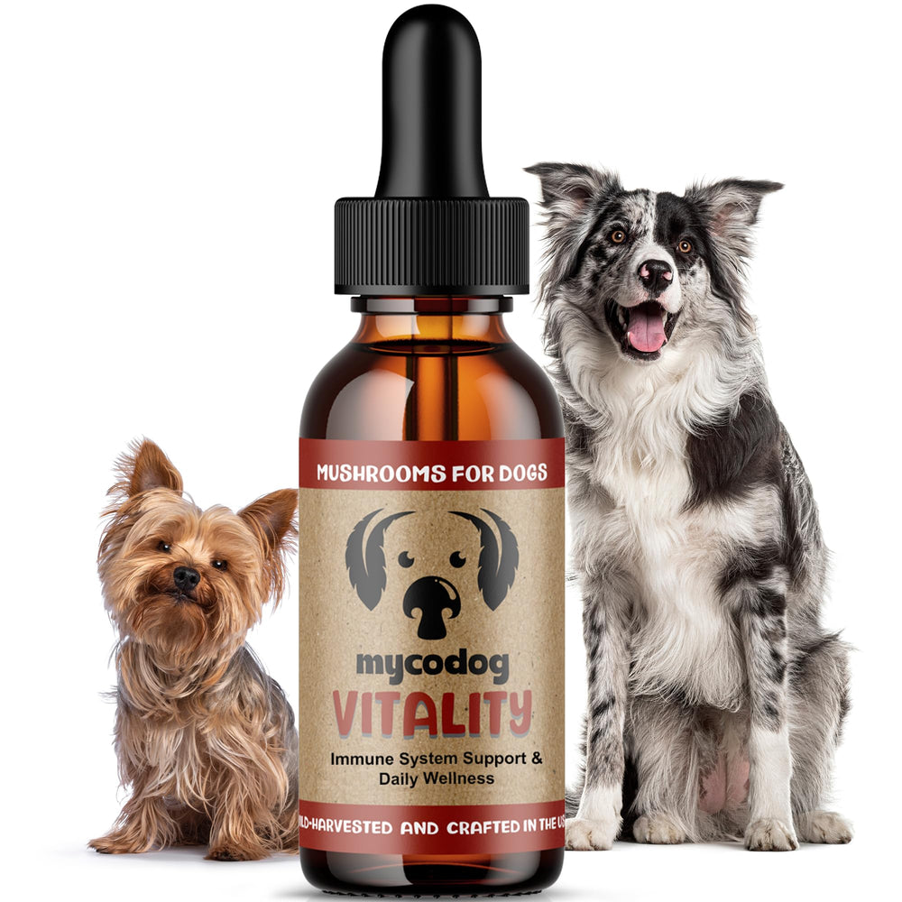 Hemp Dog Health MycoDog Vitality bottle closeup for daily immune support.