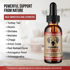 Hemp Dog Health Reishi mushroom element in MycoDog Vitality supplement.