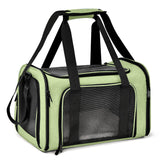Henkelion large cat carrier green outer view shows soft-sided construction for daily travel.