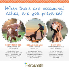 Herbsmith Comfort Aches dog-dosing scene demonstrating at-home use