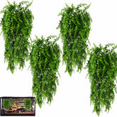 Hercocci reptile plants pack with vibrant leaves for terrarium habitat