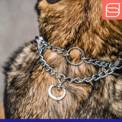 Herm Sprenger adjustable links dog collar shows customizable fit for comfort.